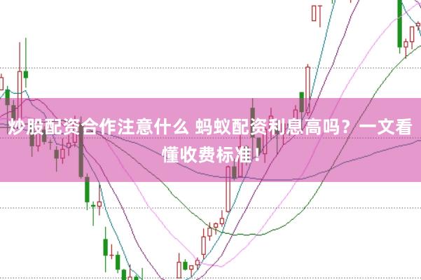 炒股配资合作注意什么 蚂蚁配资利息高吗？一文看懂收费标准！