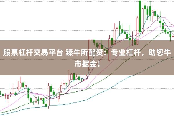 股票杠杆交易平台 臻牛所配资：专业杠杆，助您牛市掘金！