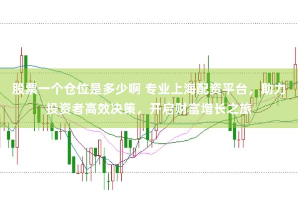 股票一个仓位是多少啊 专业上海配资平台，助力投资者高效决策，开启财富增长之旅