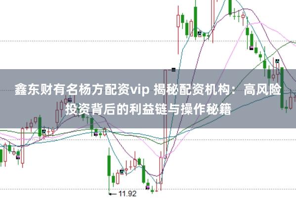 鑫东财有名杨方配资vip 揭秘配资机构：高风险投资背后的利益链与操作秘籍