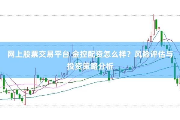 网上股票交易平台 金控配资怎么样？风险评估与投资策略分析