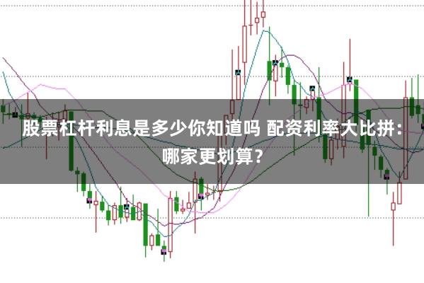 股票杠杆利息是多少你知道吗 配资利率大比拼：哪家更划算？